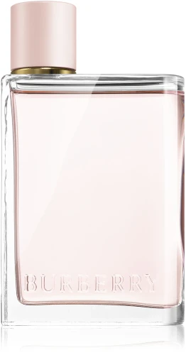 her_burberry.webp